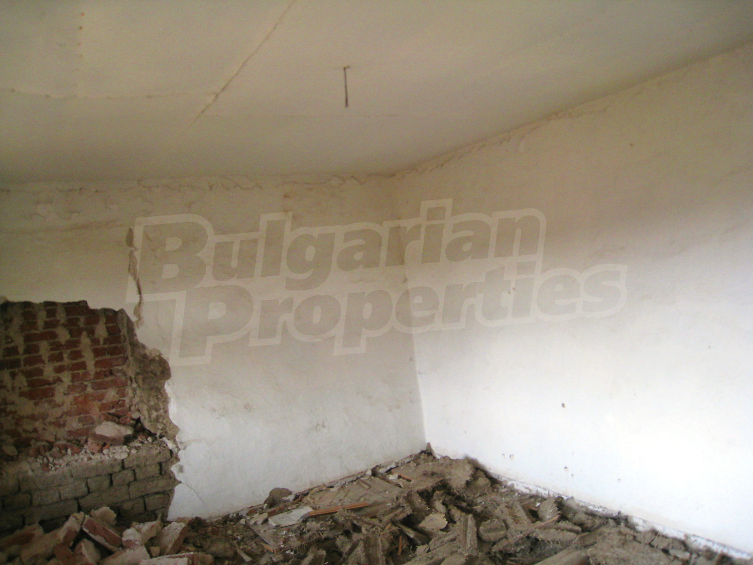 Gallery Picture 31
