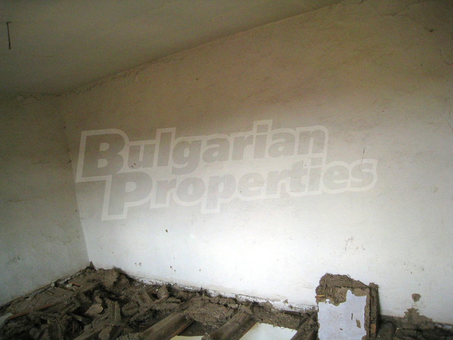 Gallery Picture 33