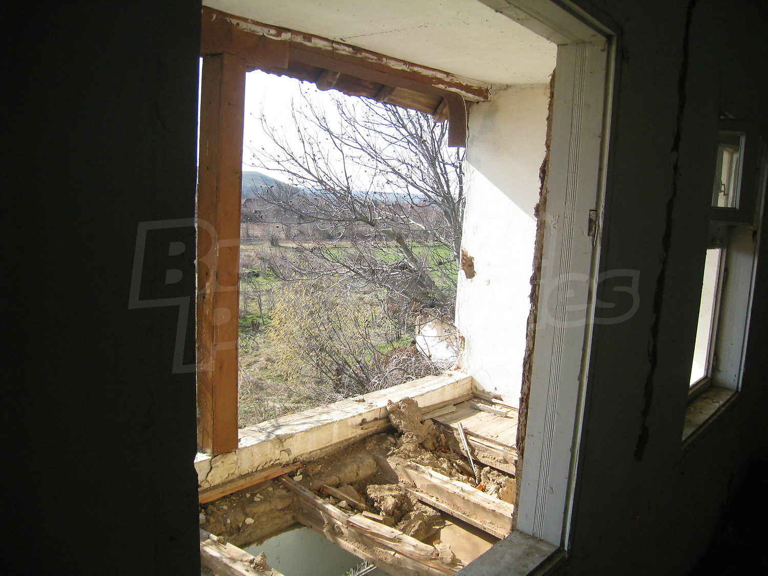 Gallery Picture 34