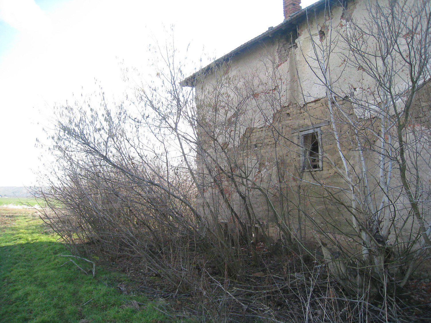 Gallery Picture 39