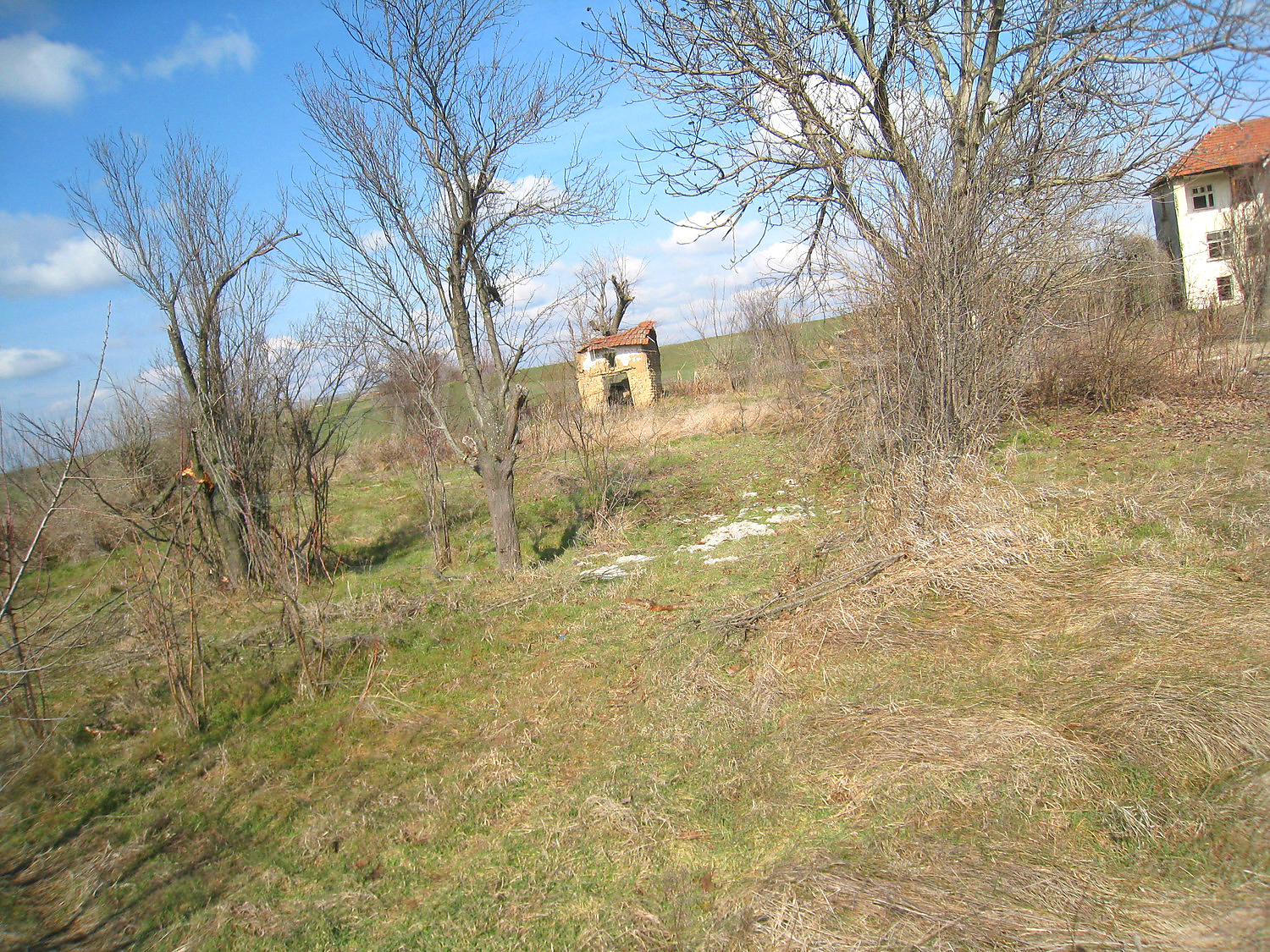 Gallery Picture 48