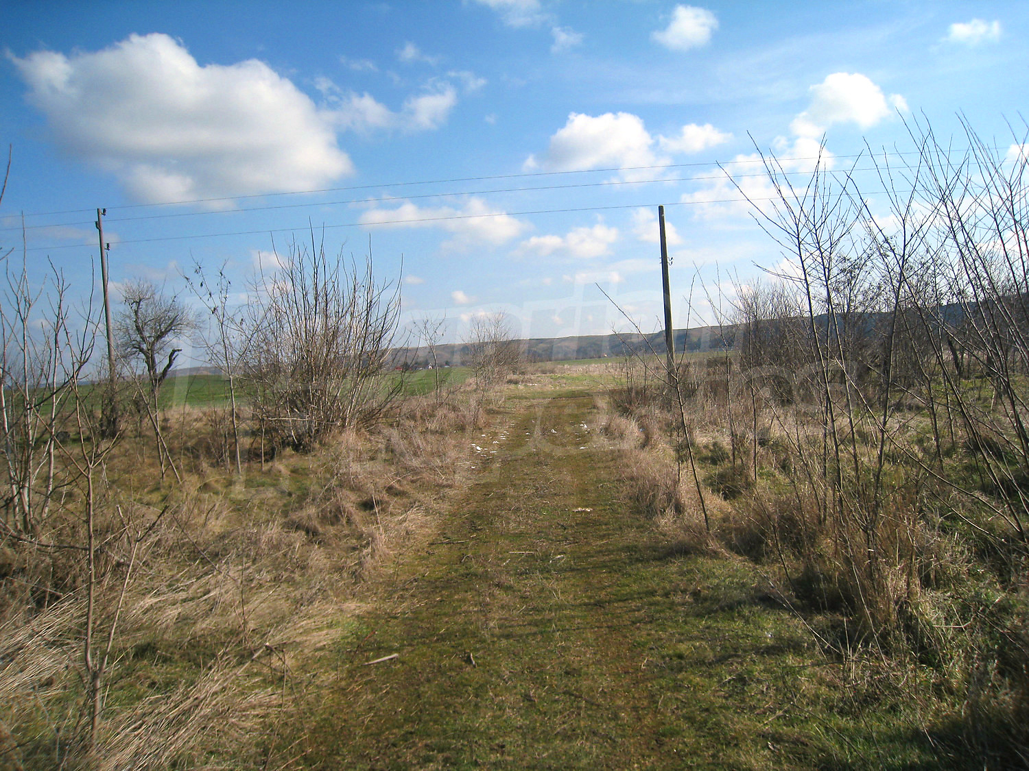 Gallery Picture 49