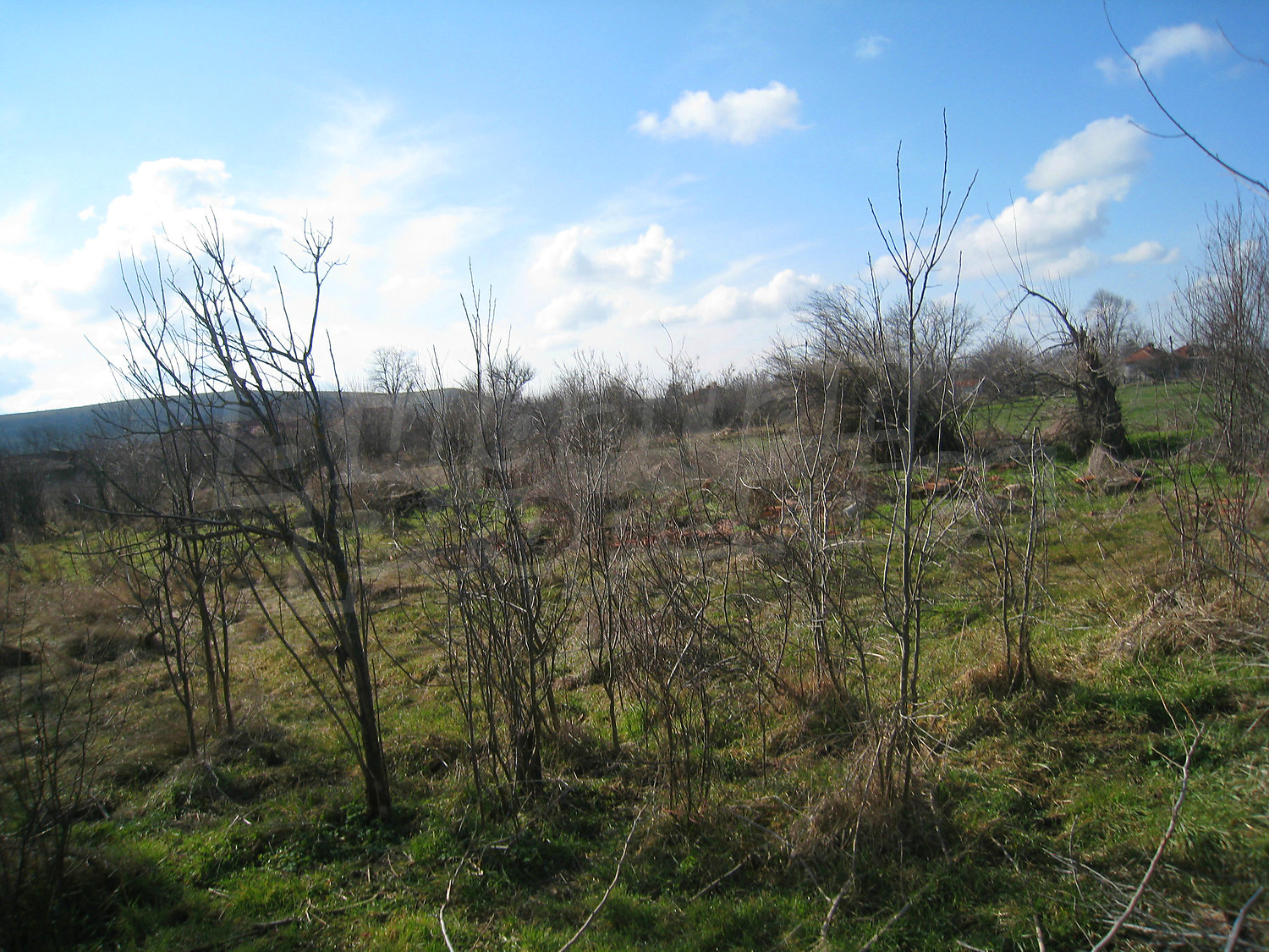 Gallery Picture 52