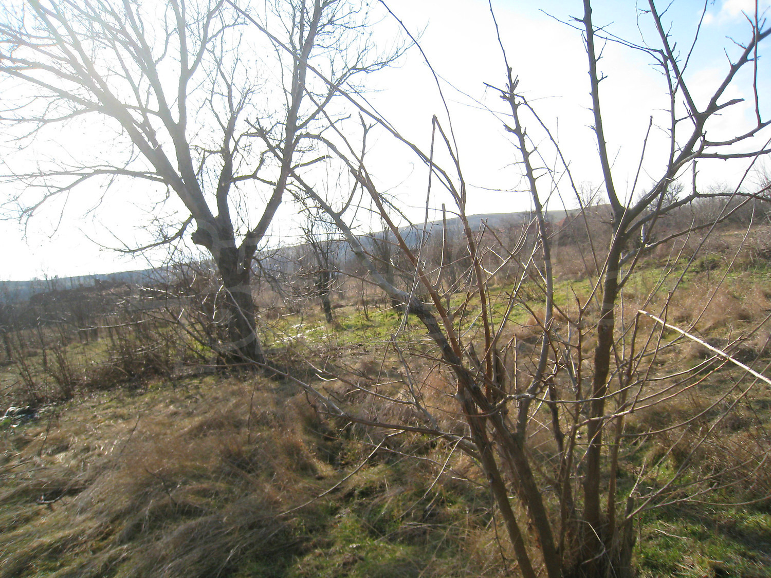 Gallery Picture 53