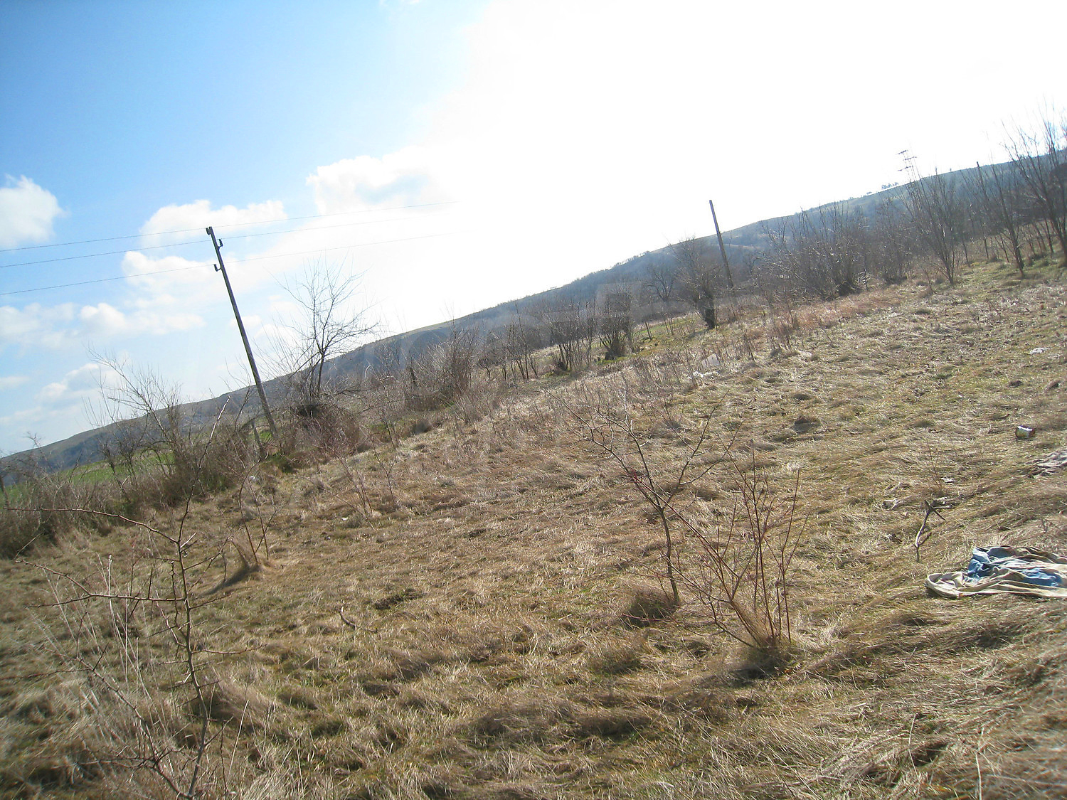 Gallery Picture 55