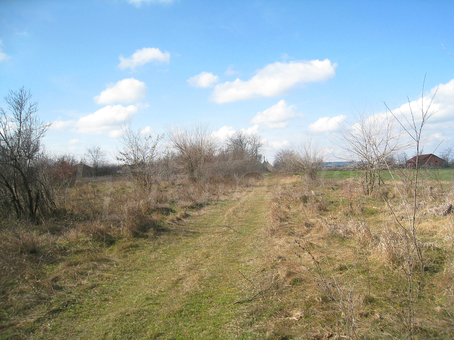Gallery Picture 57