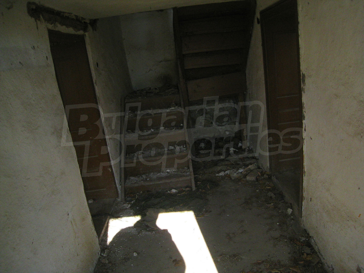 Gallery Picture 7