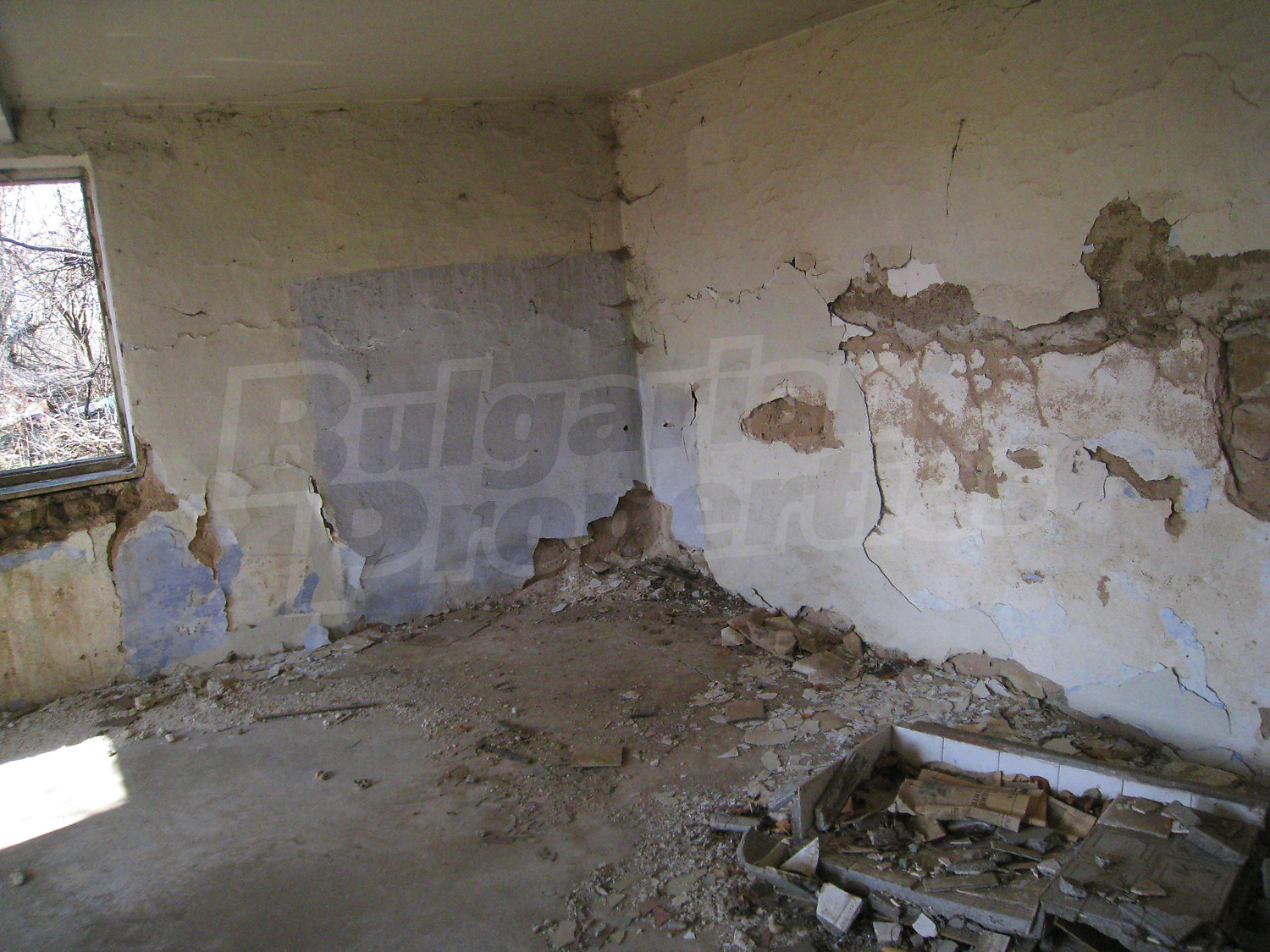 Gallery Picture 9
