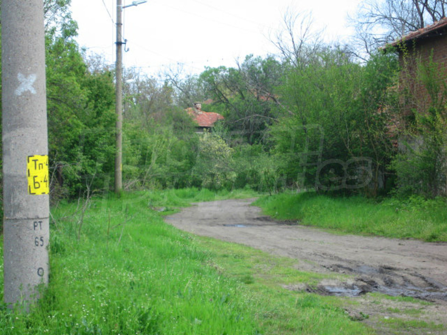 Gallery Picture 11