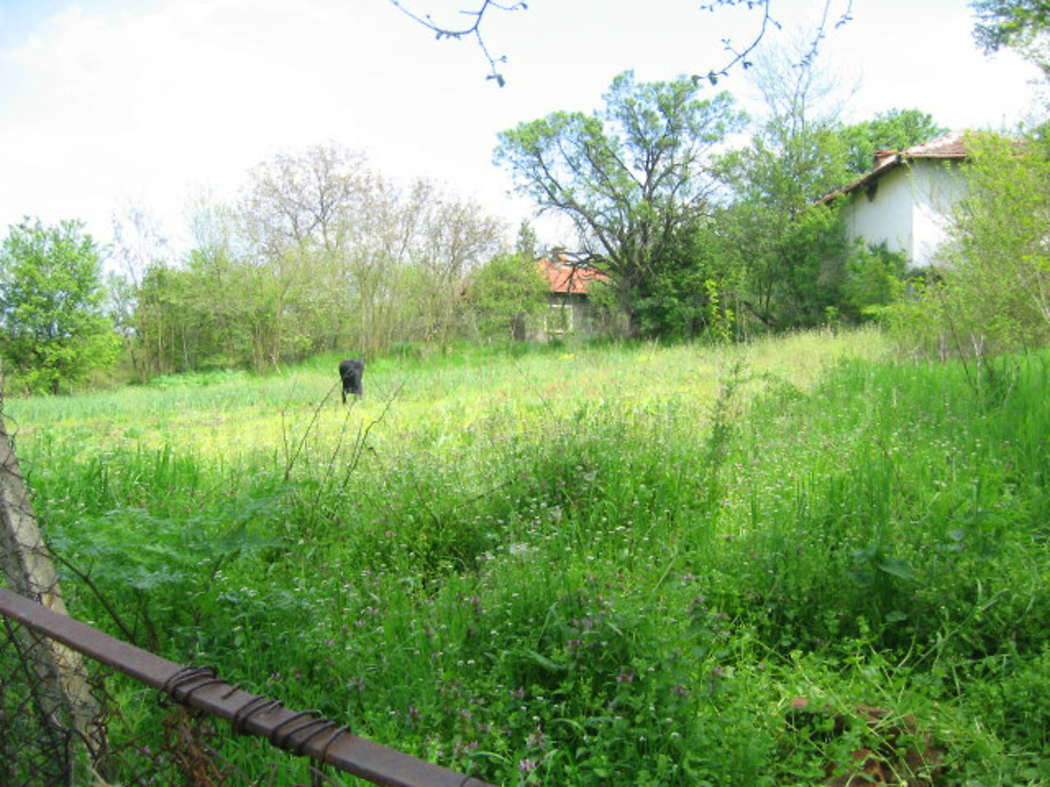 Gallery Picture 7