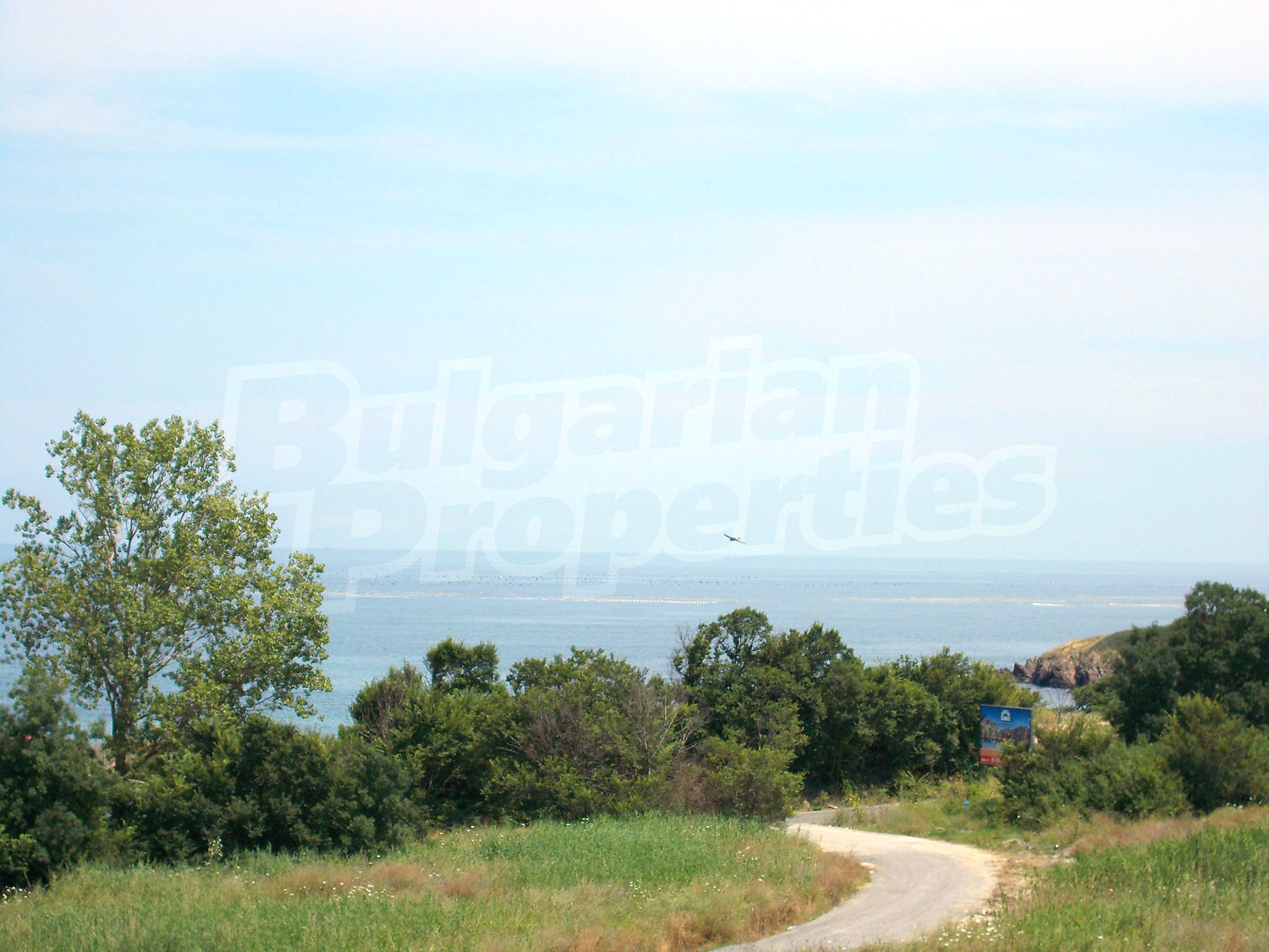 Gallery Picture 19