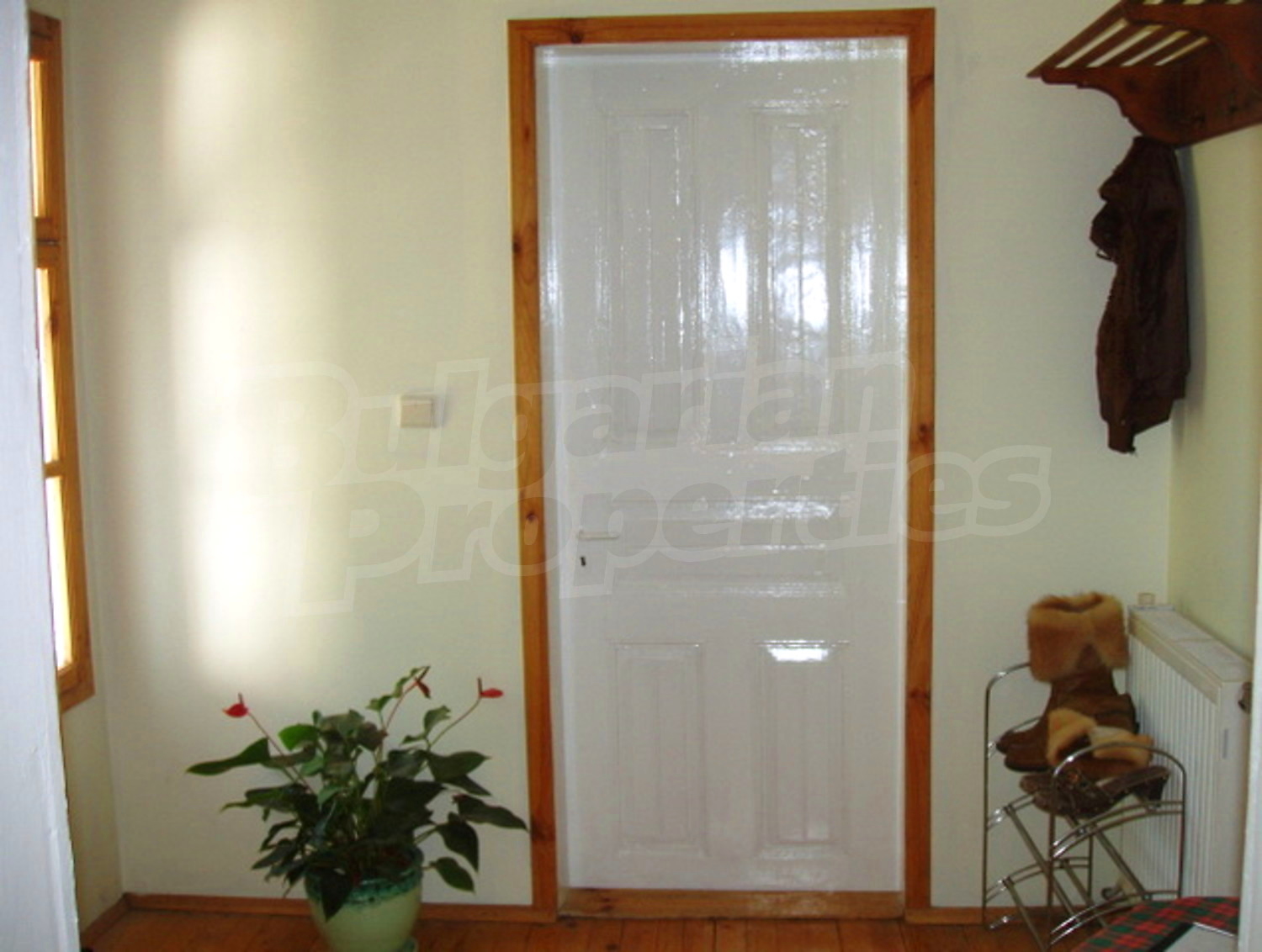 Gallery Picture 10