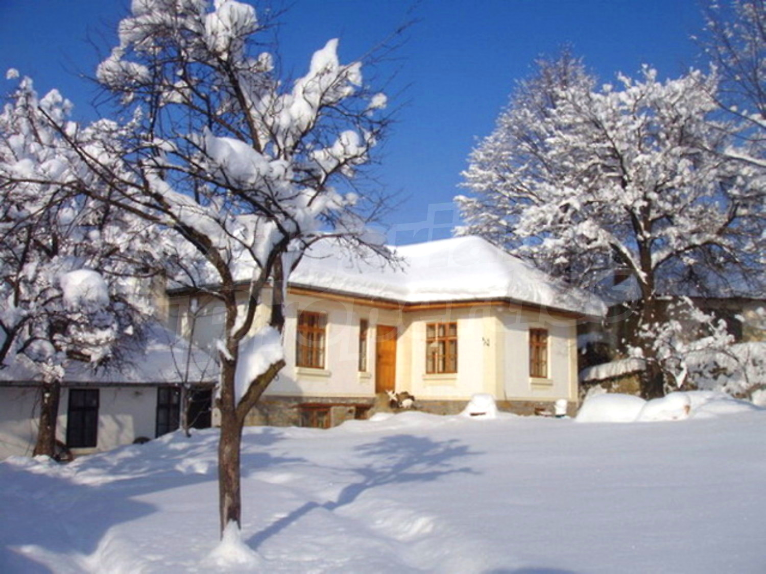 Gallery Picture 11
