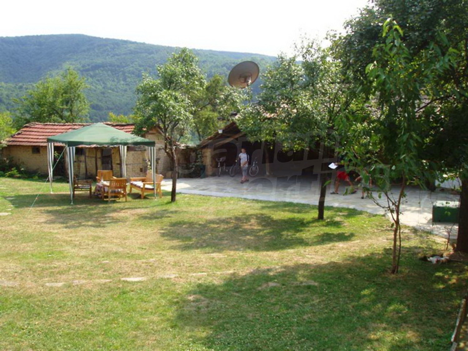 Gallery Picture 12