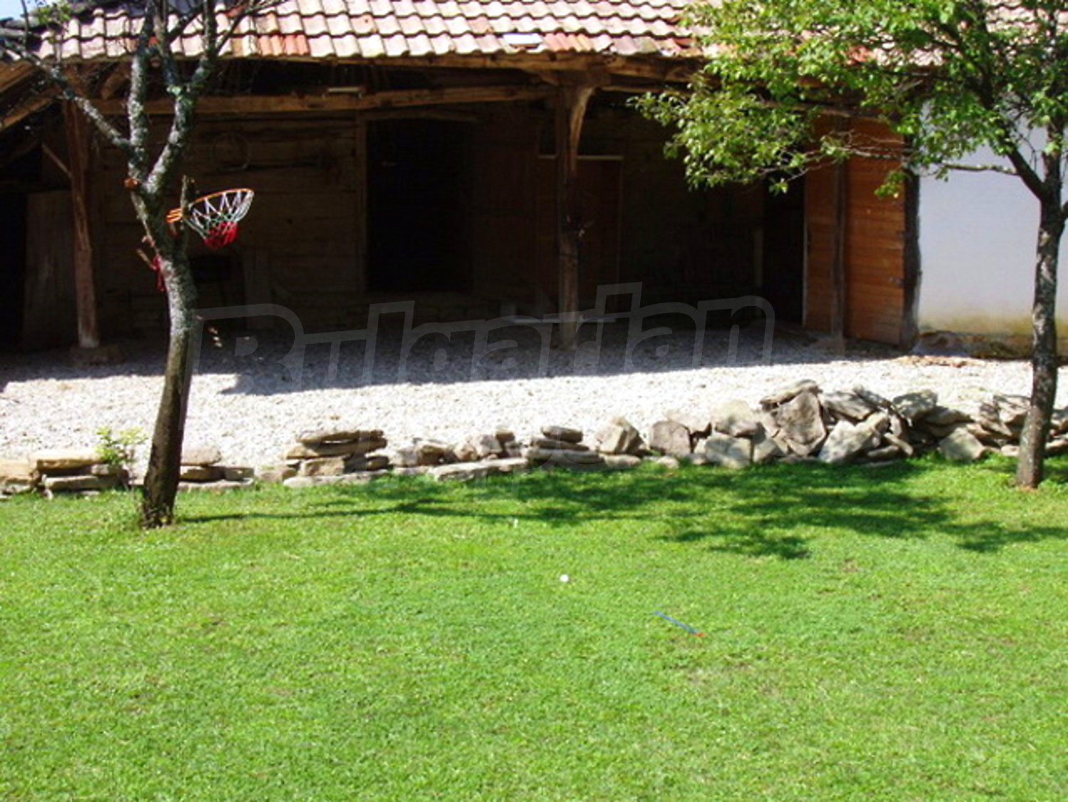 Gallery Picture 14