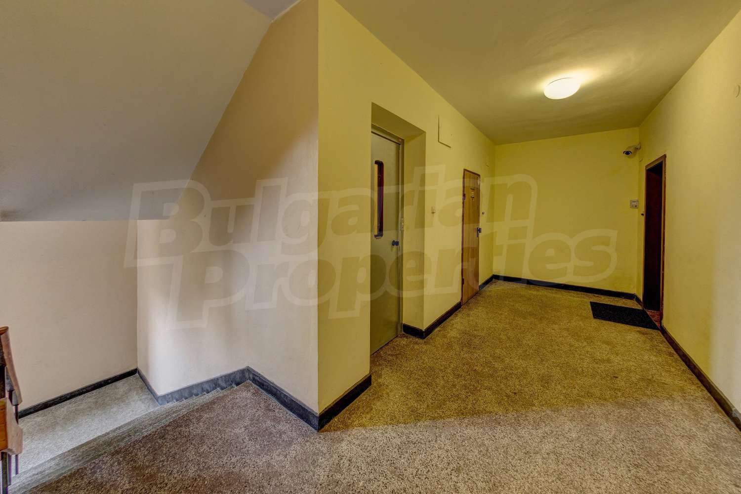 Gallery Picture 19