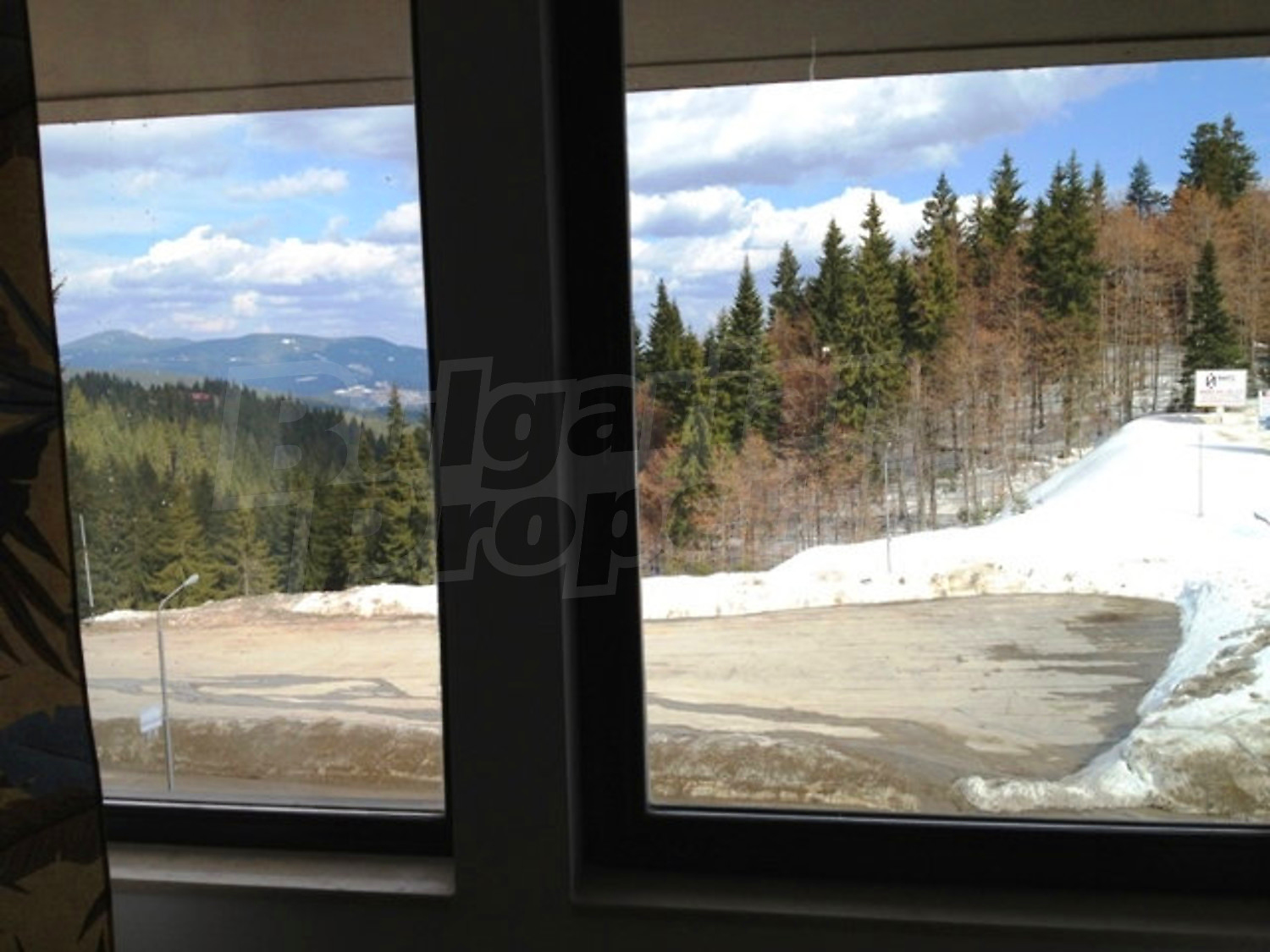 Gallery Picture 13