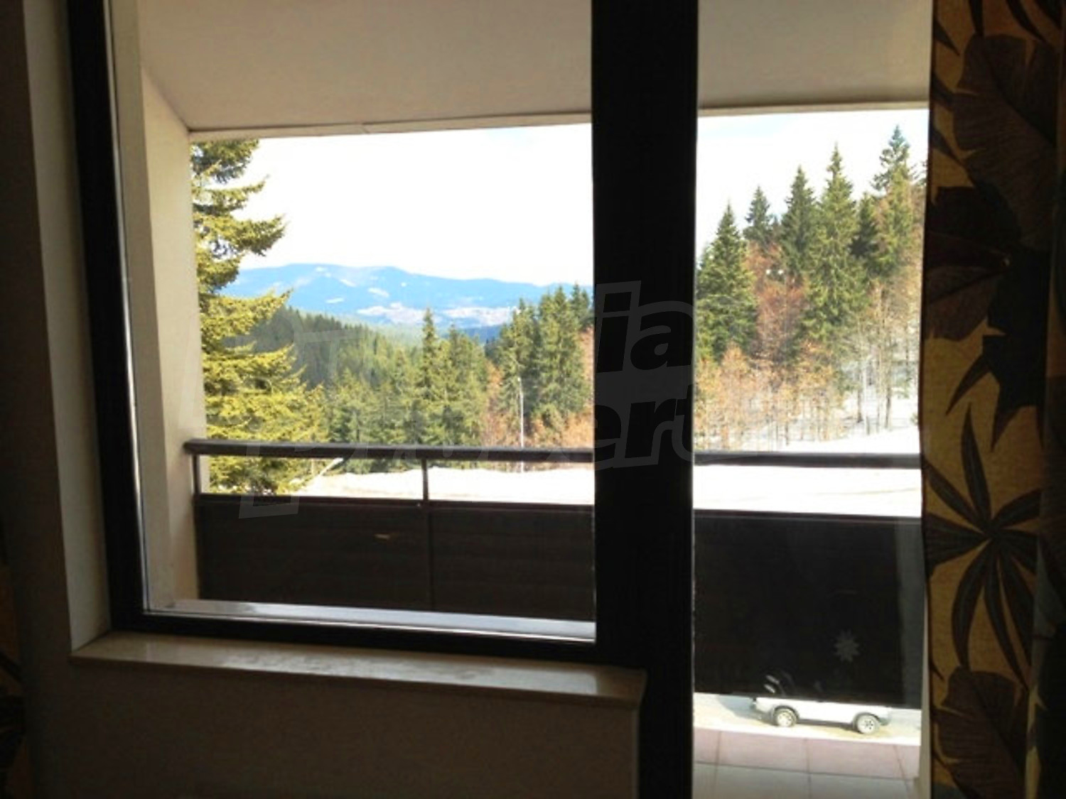 Gallery Picture 17