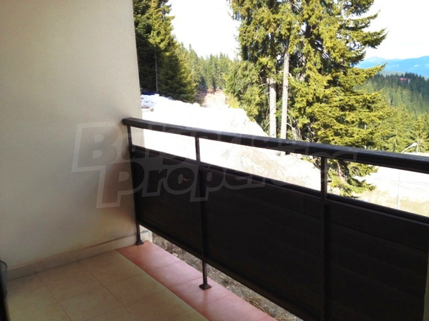Gallery Picture 18
