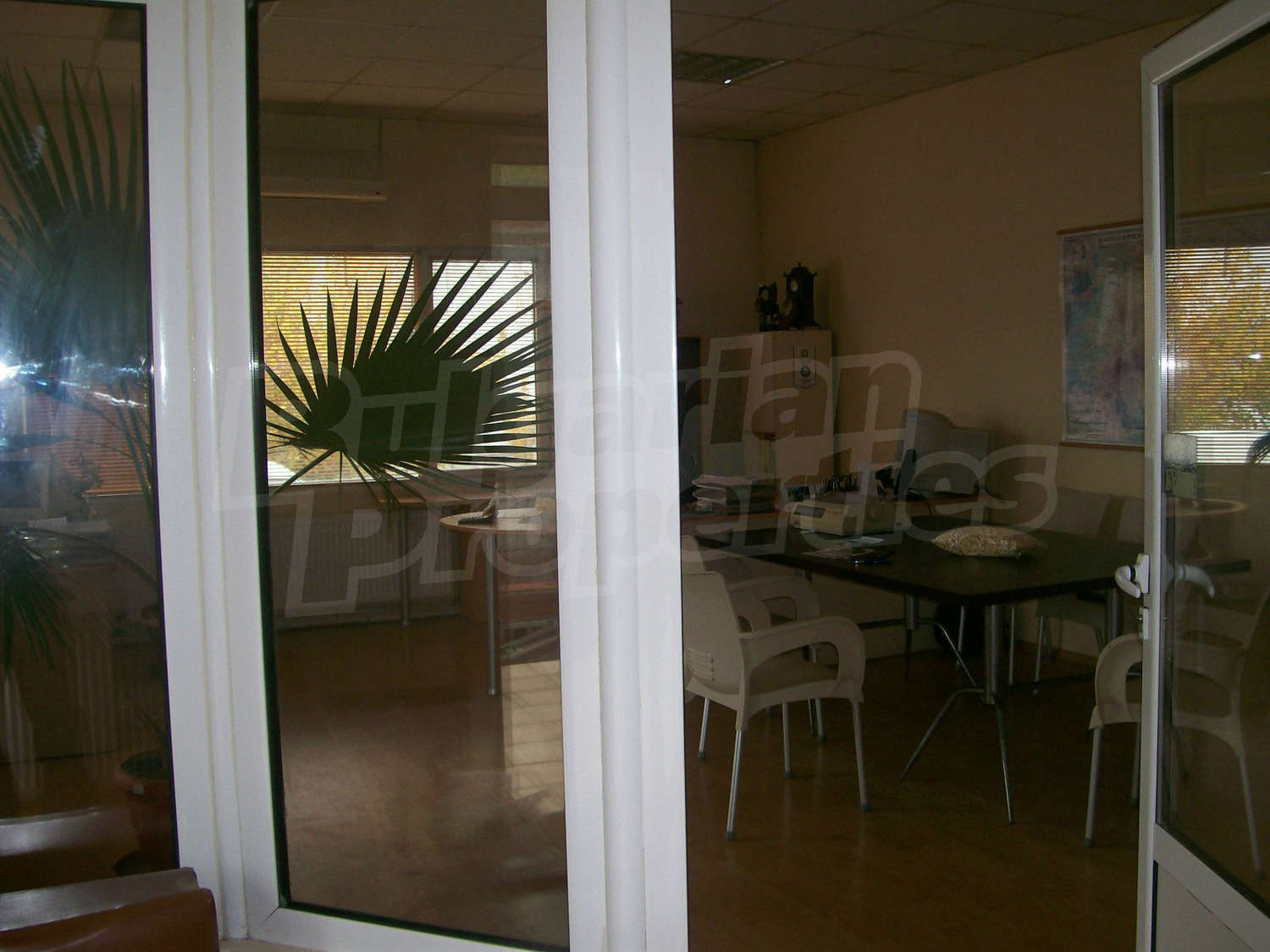 Gallery Picture 7