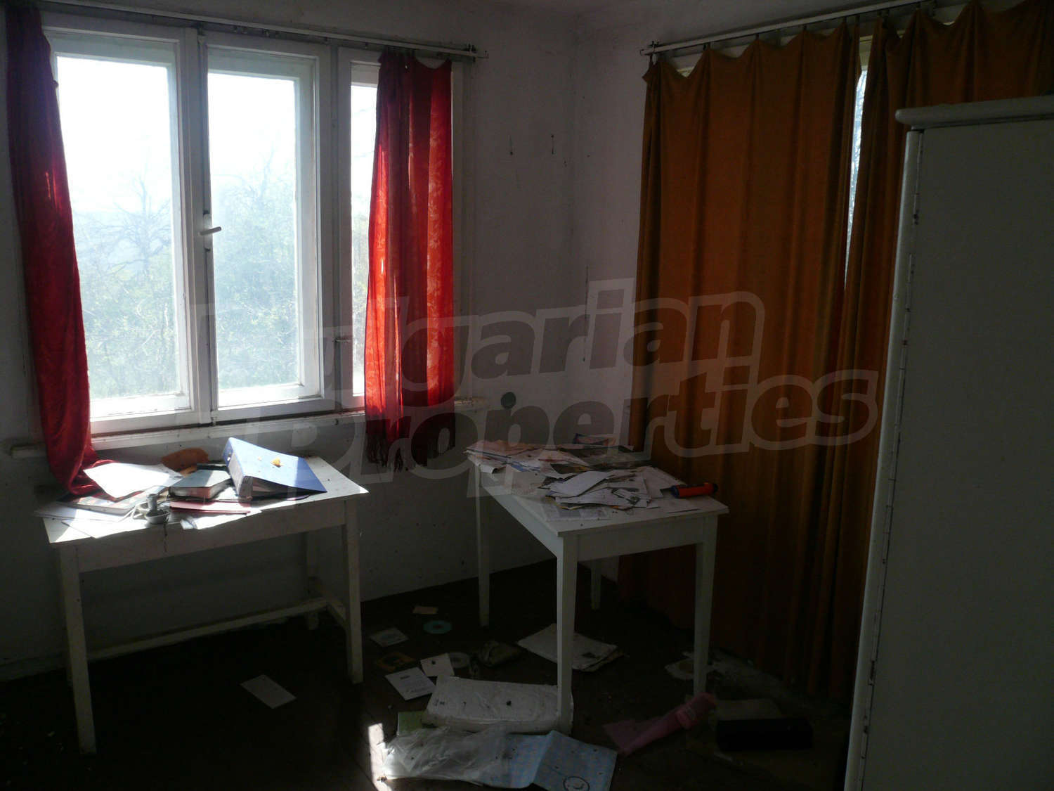 Gallery Picture 10