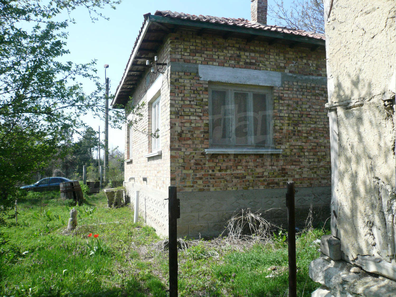 Gallery Picture 16