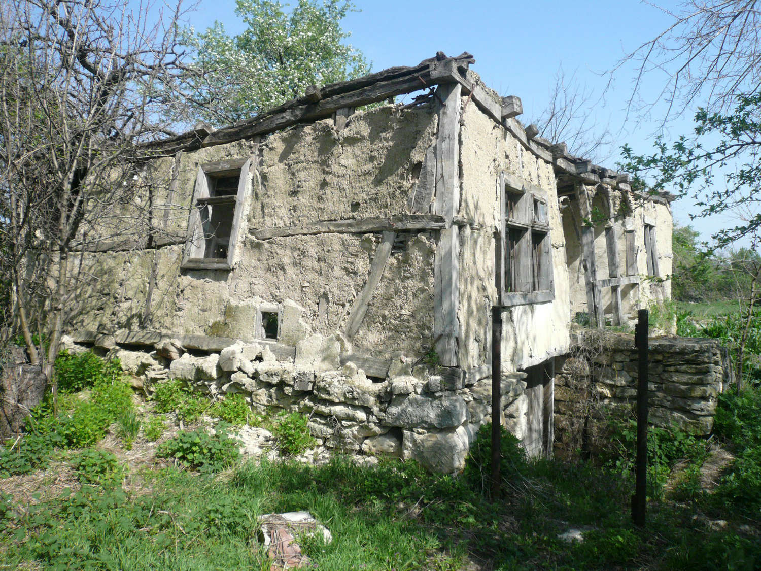 Gallery Picture 17