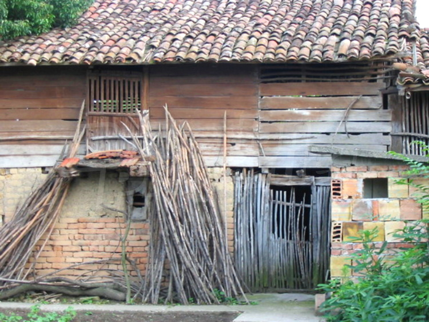 Gallery Picture 10