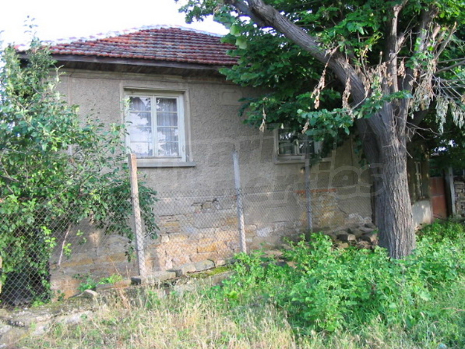 Gallery Picture 14