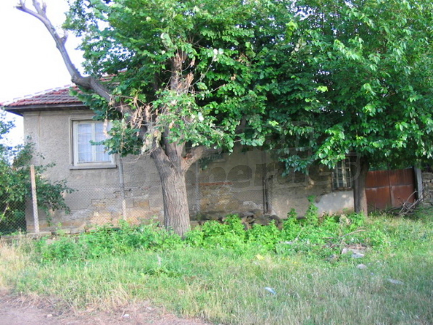 Gallery Picture 15