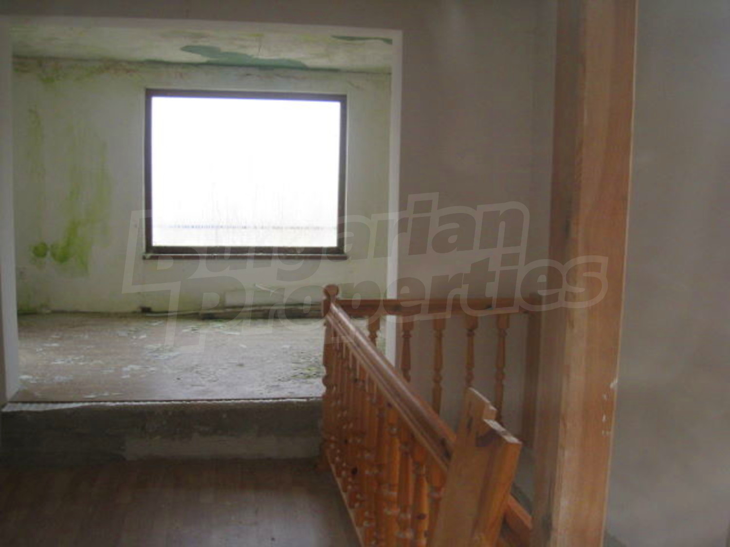 Gallery Picture 11