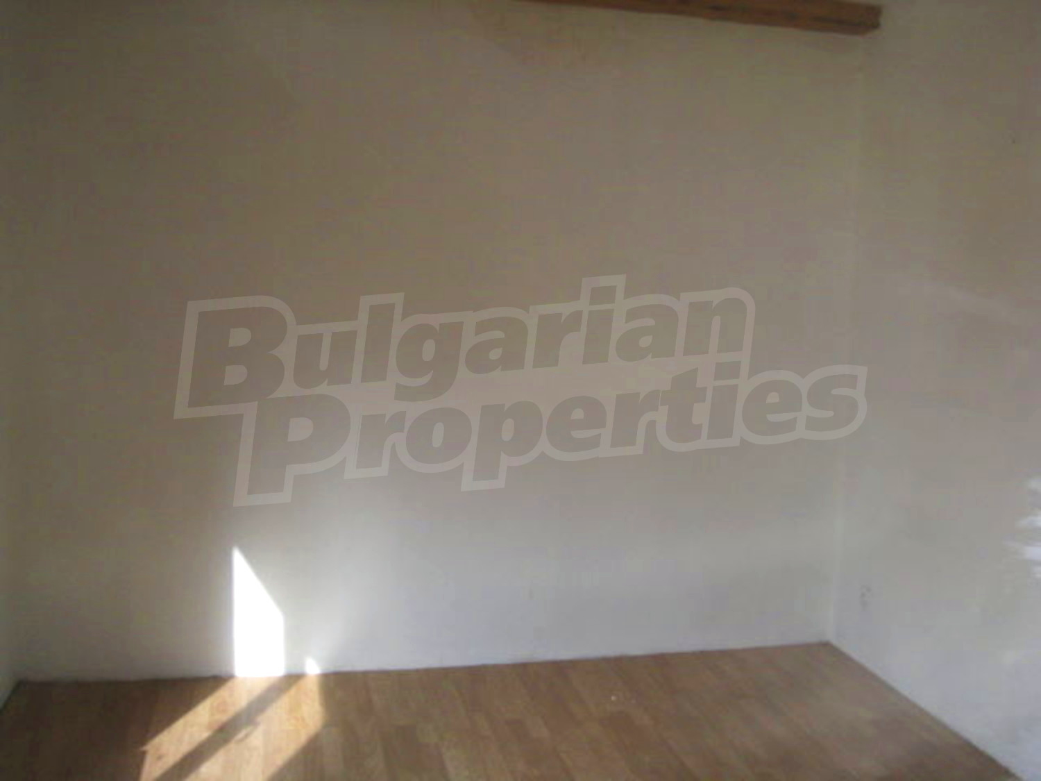 Gallery Picture 12