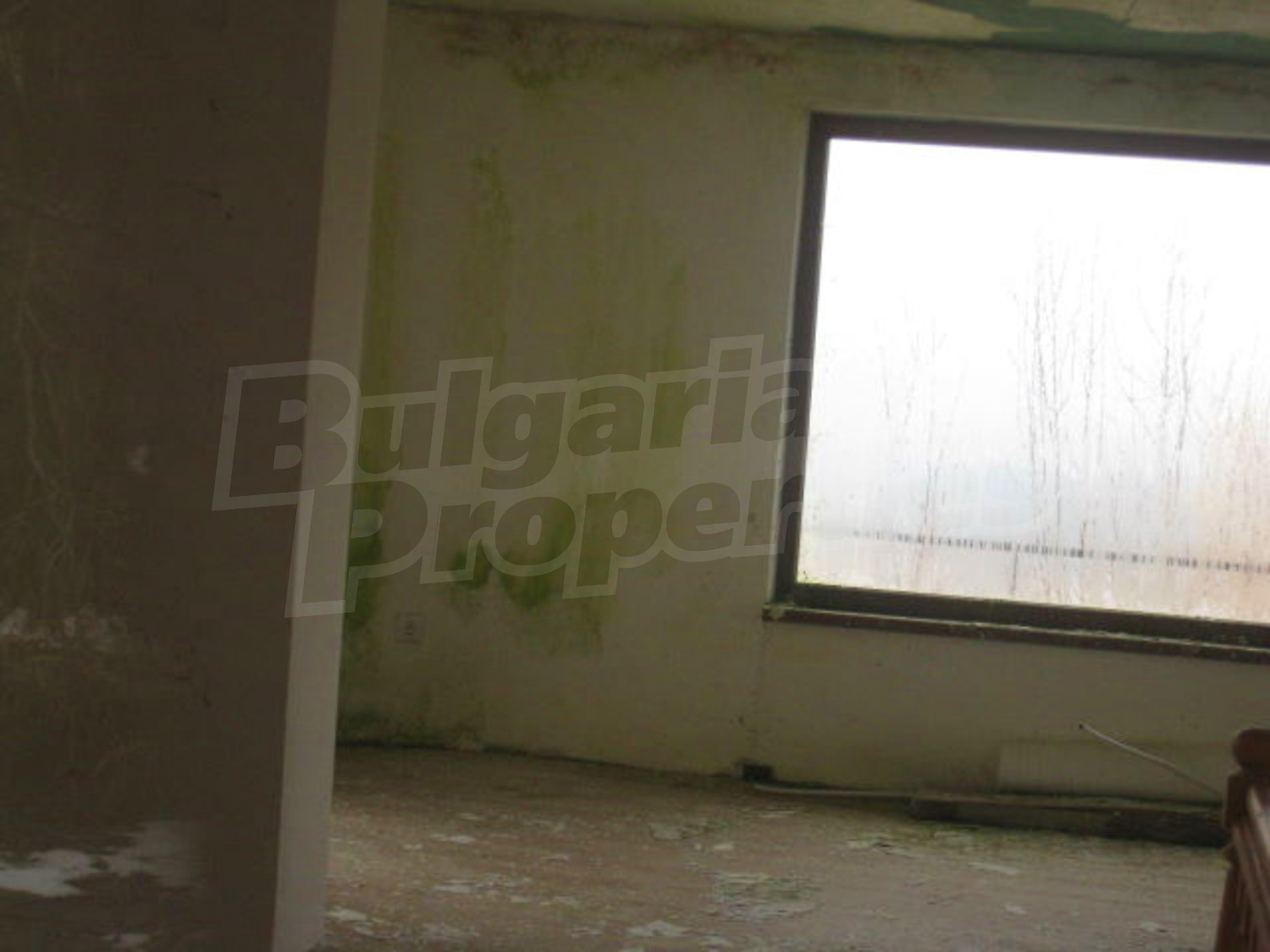 Gallery Picture 13