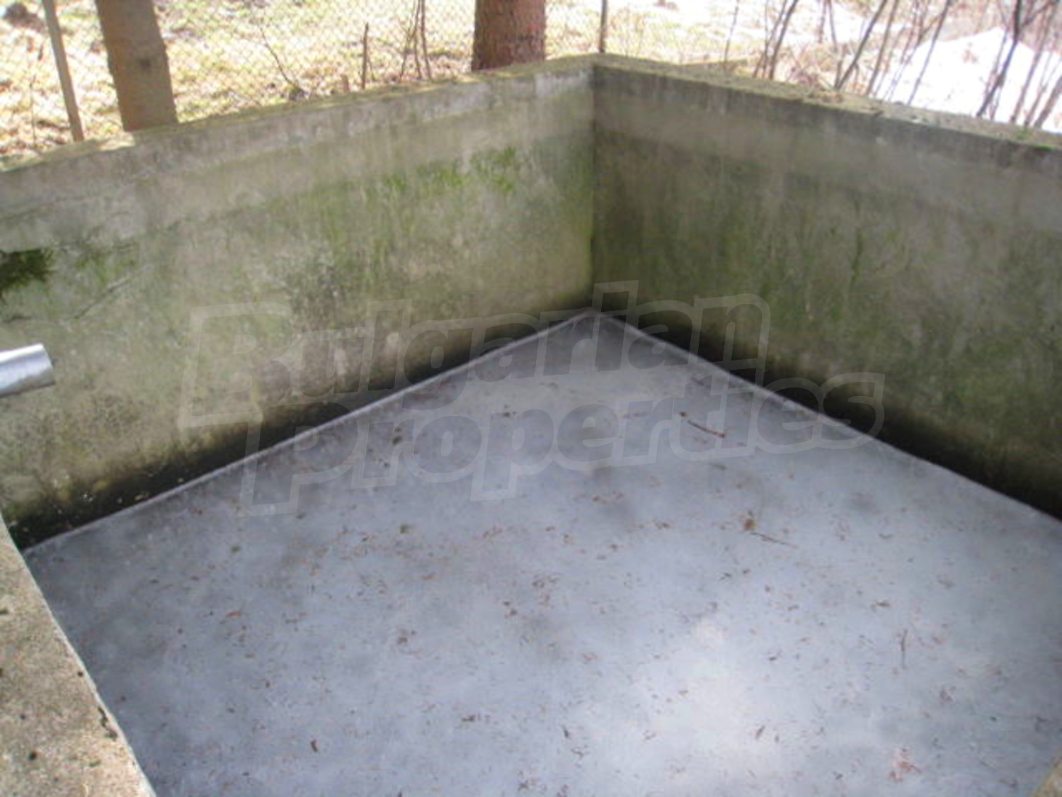 Gallery Picture 14