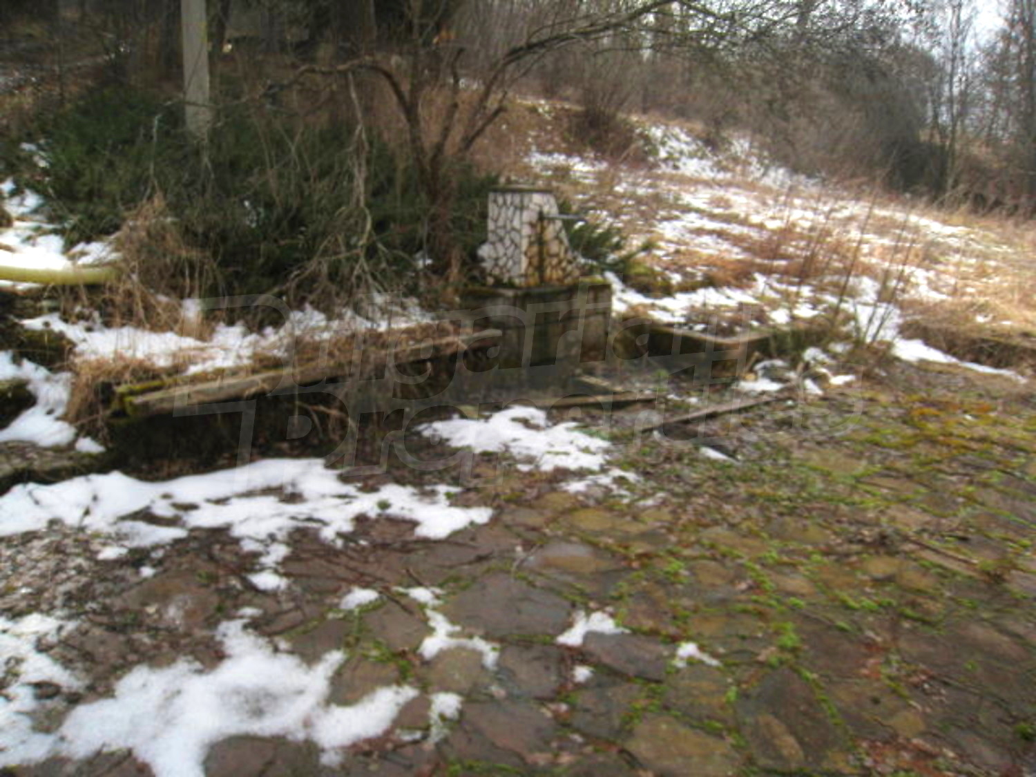 Gallery Picture 15