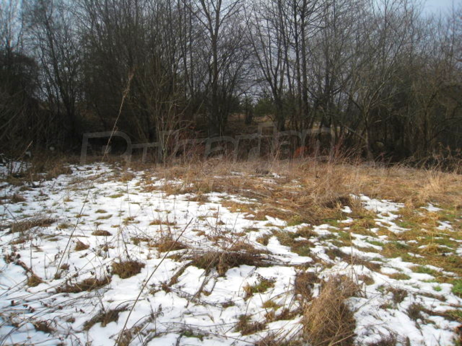 Gallery Picture 17