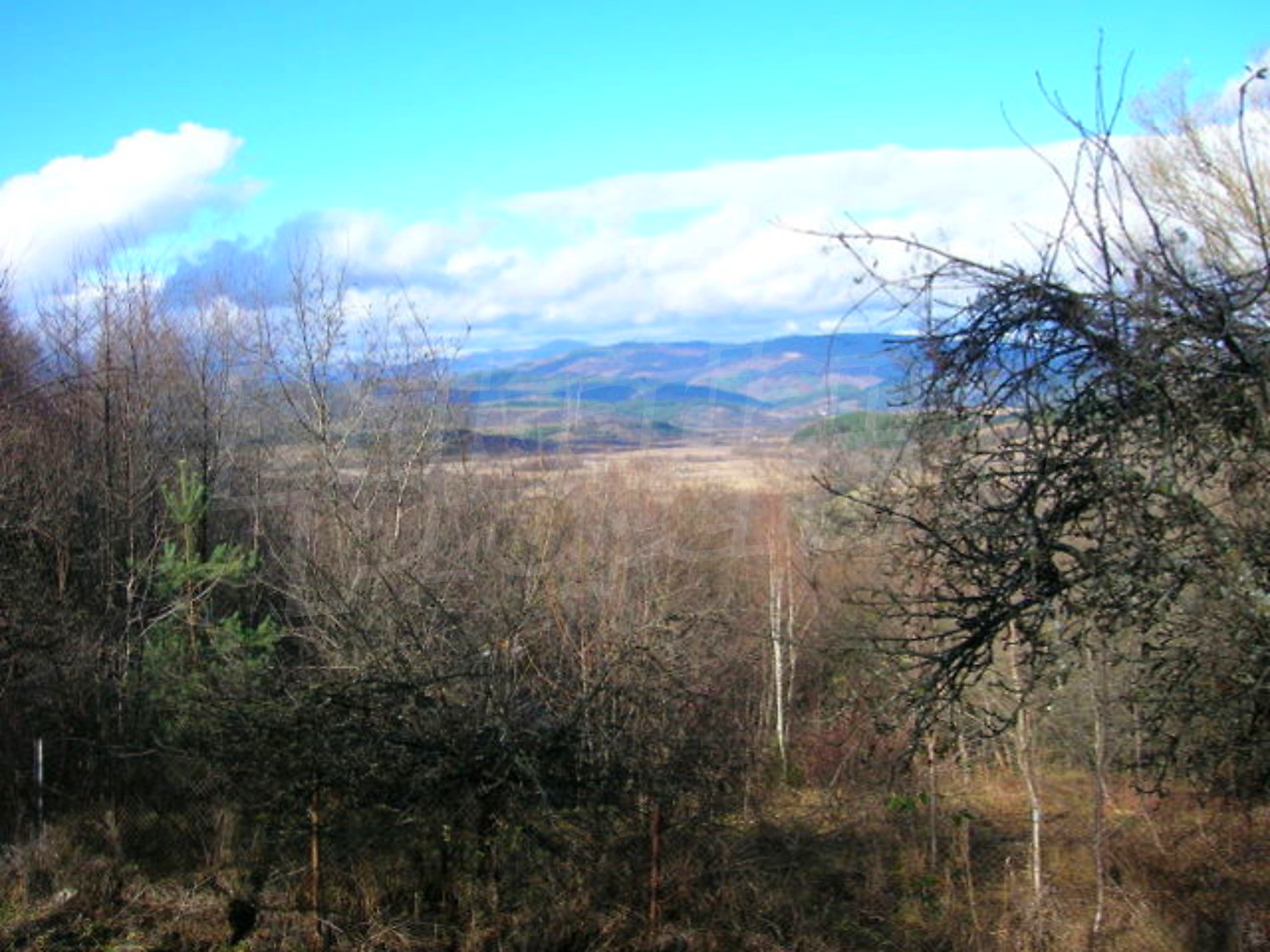 Gallery Picture 18