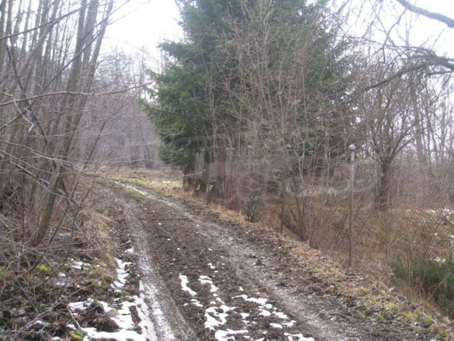 Gallery Picture 19