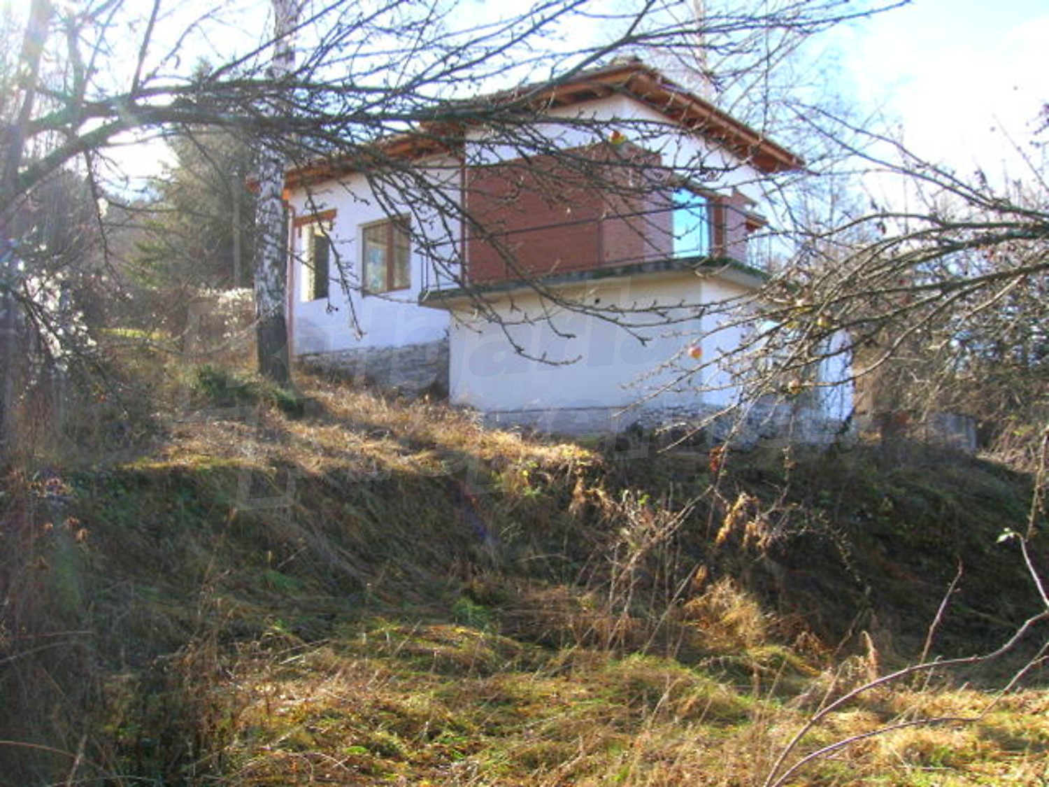 Gallery Picture 2