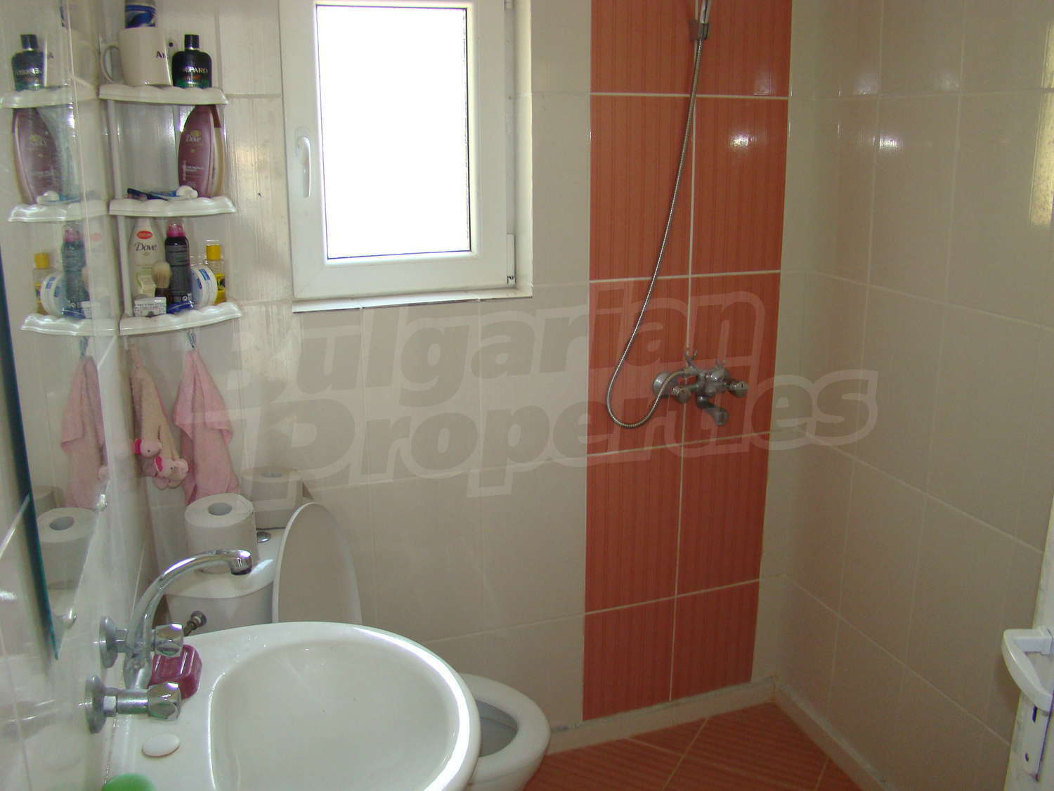 Gallery Picture 17