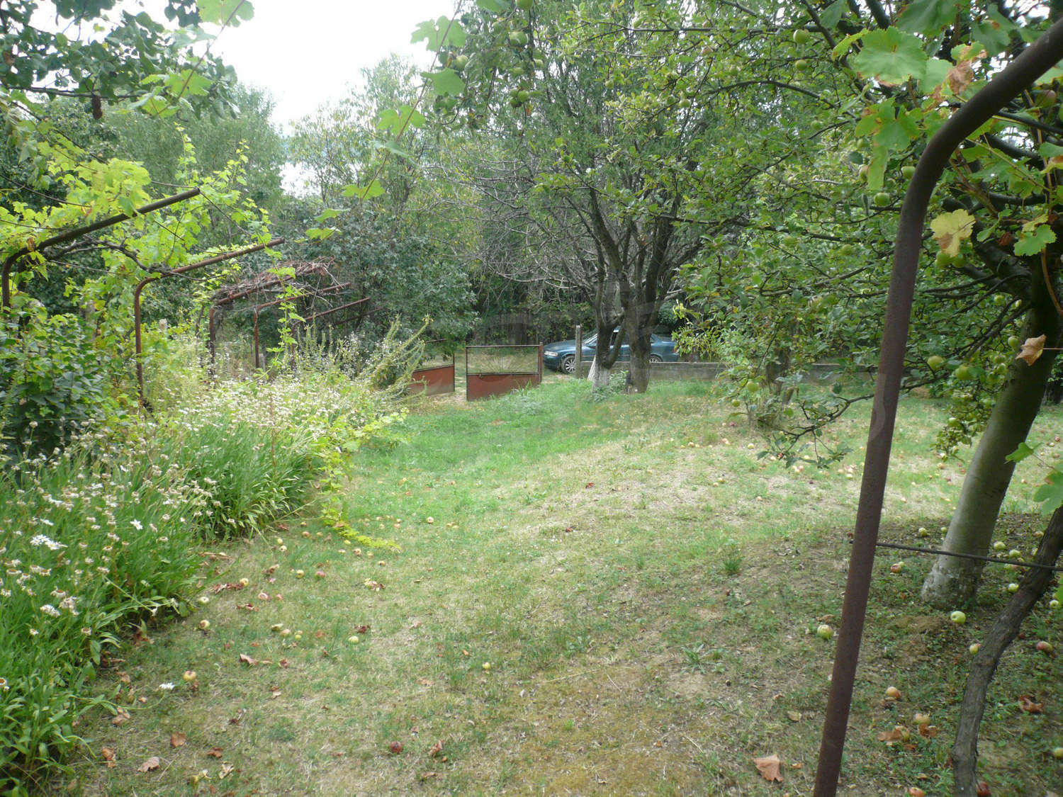 Gallery Picture 21