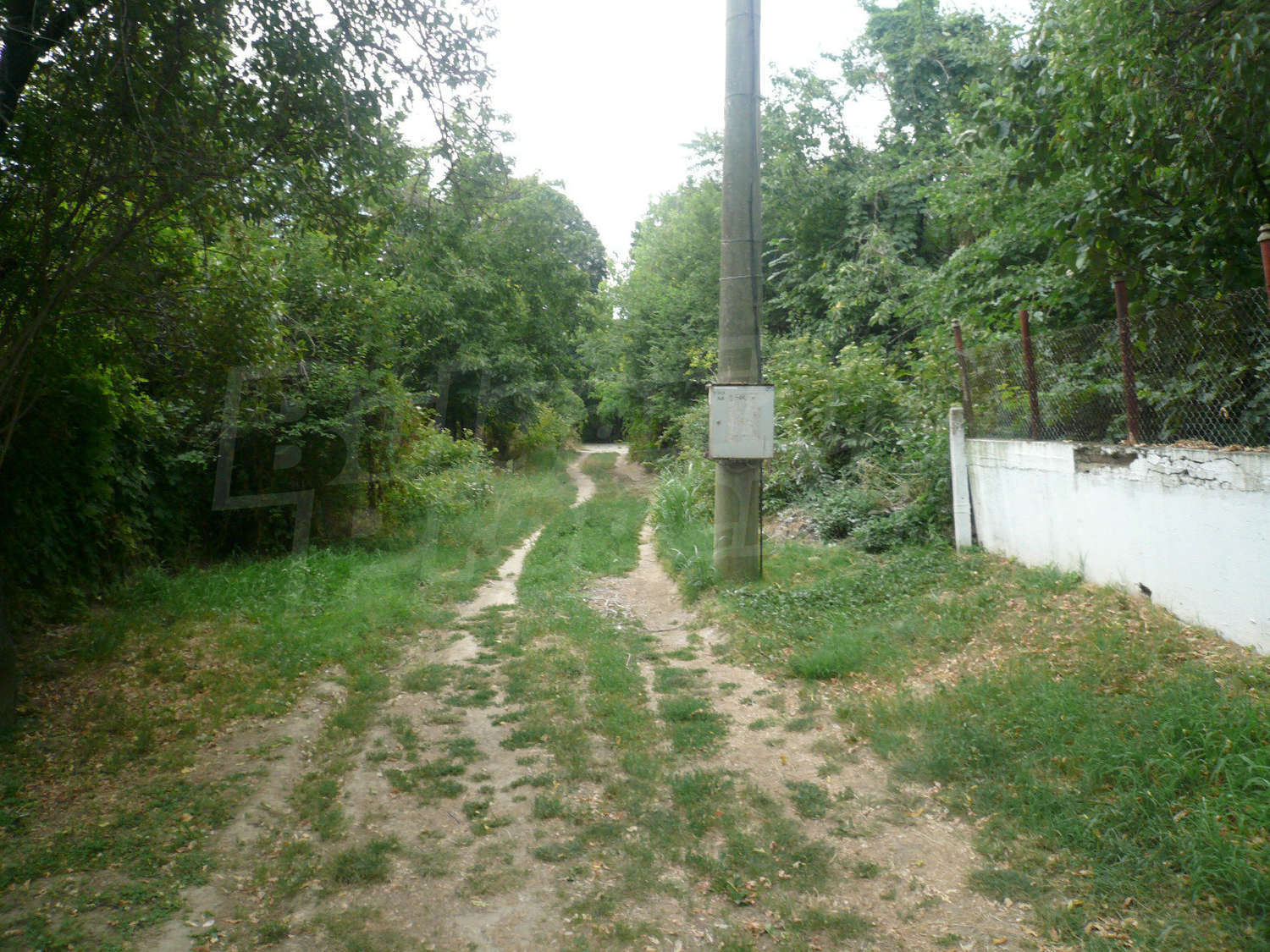 Gallery Picture 33