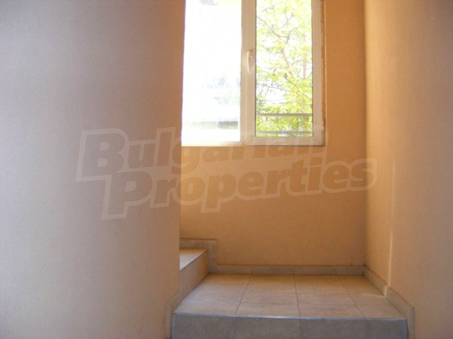 Gallery Picture 11