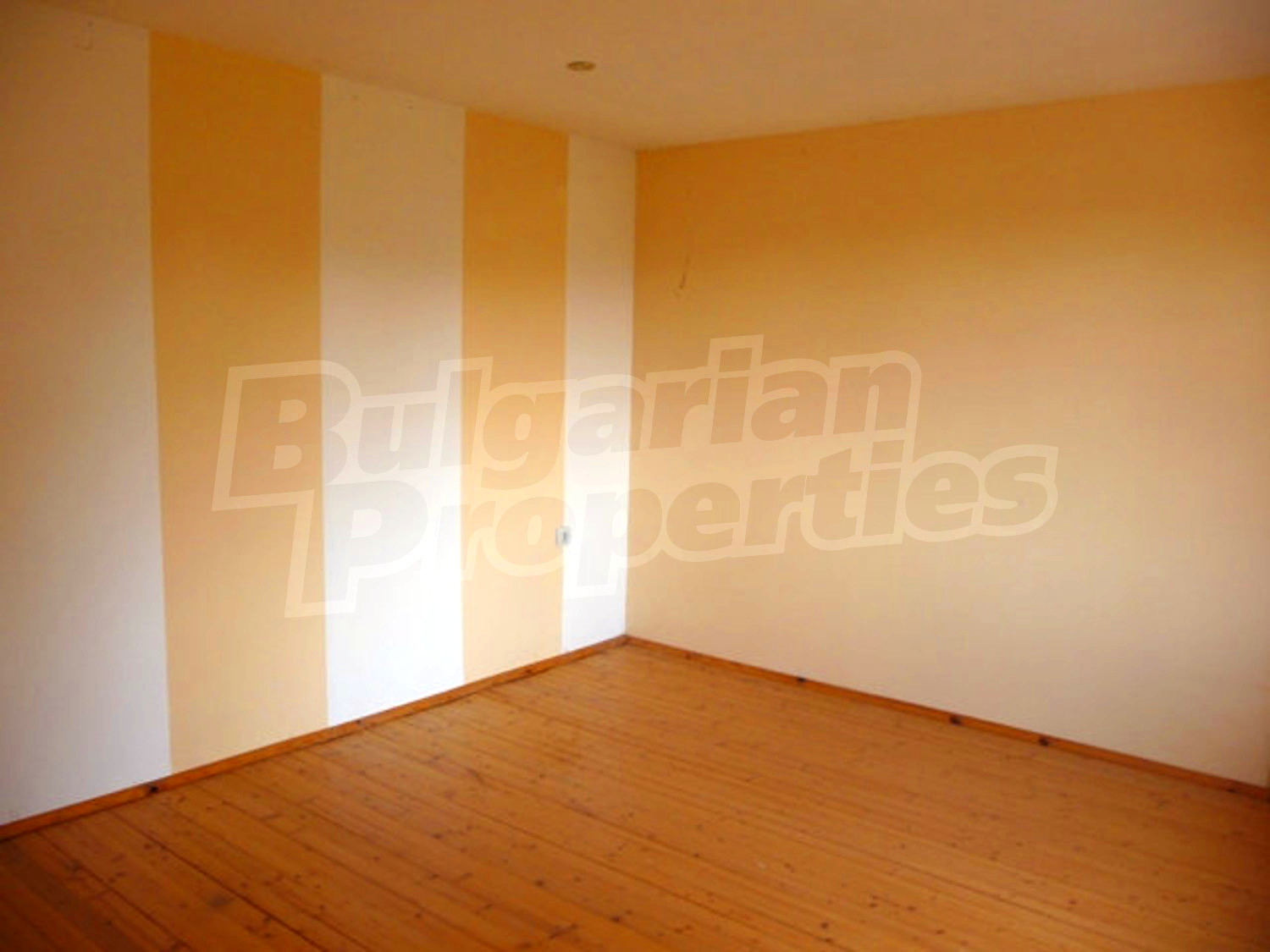 Gallery Picture 10