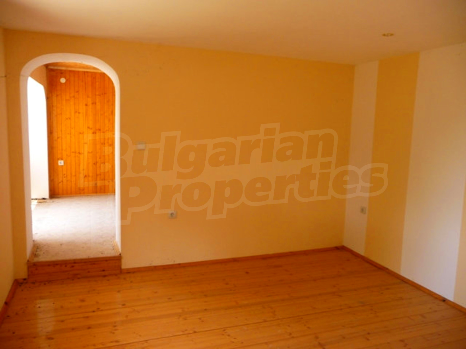 Gallery Picture 14
