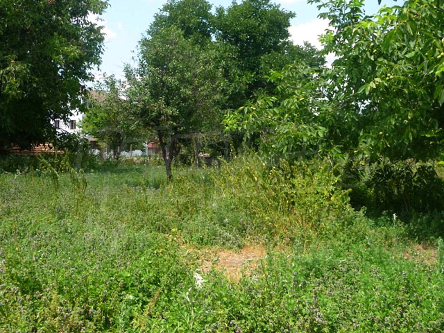 Gallery Picture 17