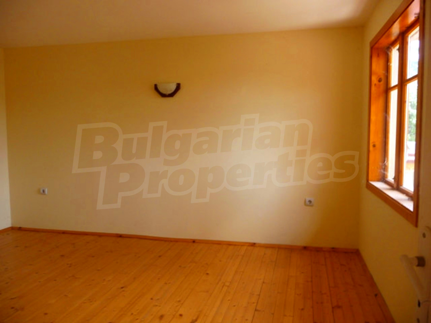 Gallery Picture 22