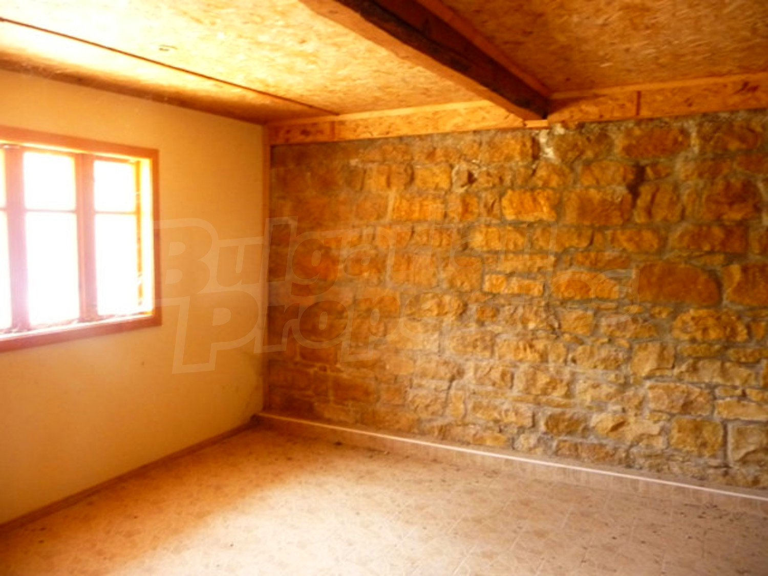 Gallery Picture 25
