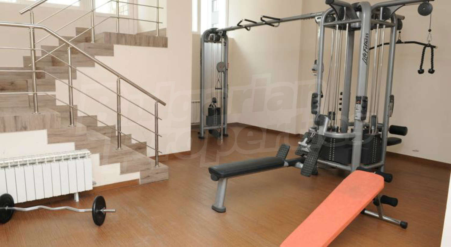 Gallery Picture 25