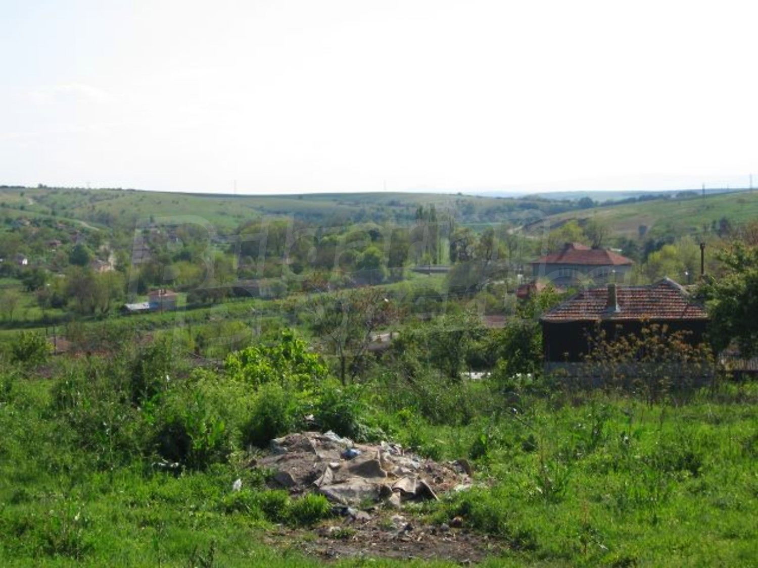 Gallery Picture 10